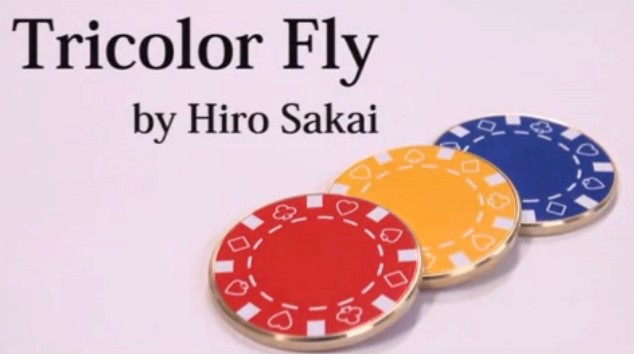 Tricolor Fly by Hiro Sakai - Download