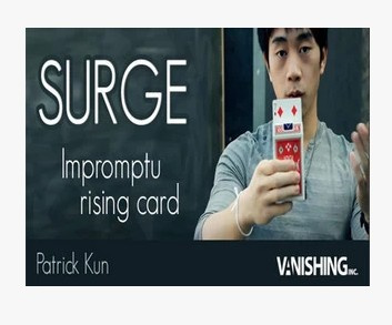 2011 Vanishing Surge by Patrick Kun (Download)