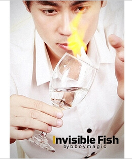 2014 Invisible Fish by Bboymagic (Download)