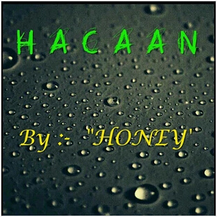 Honey's Any Card At Any Number 2014 HACAAN by Honey (Download)
