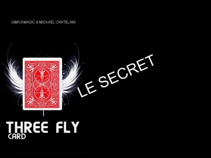 THREE FLY CARD by Gimickmagic & Mickael Chatelain LA METHODE VERSION FRANCAISE