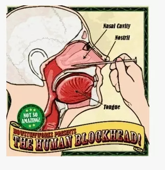 Human Blockhead - Nail in Nose (Download)