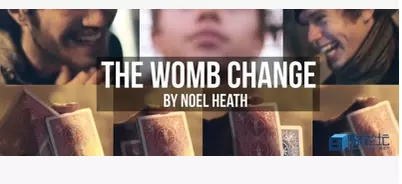 2015 Fontaine The Womb Change by Noel Heath (Download)