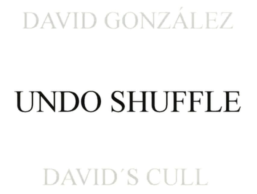 David Gonzalez - Undo Shufle