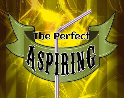 Daniel Raley - Perfect Aspiring