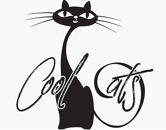 Cool C.A.T.S. by Matthew Wright and Toby Davies (DVD download)