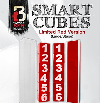 Taiwan Ben - Smart Cubes (Original DVD Download)