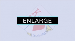 Enlarge by SansMinds Creative Lab (MP4 Video Download)