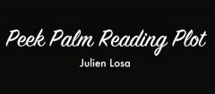 Peek Palm Reading Plot by Julien Losa (MP4 Video Download)