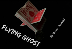 Flying Ghost by Mario Tarasini (MP4 Video Download)