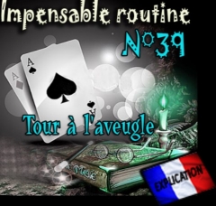 LepetitMagicien - Tour A l'aveugle (Impensable Routine N 39) (MP4 Video Download)