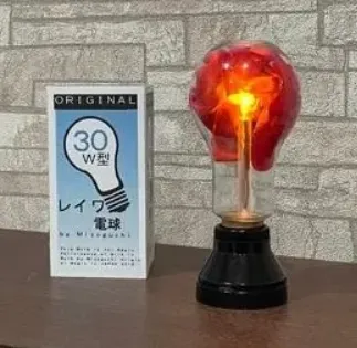 Silk in Lightbulb by Mizoguchi & Seo Magic (Mp4 Video Magic Download)