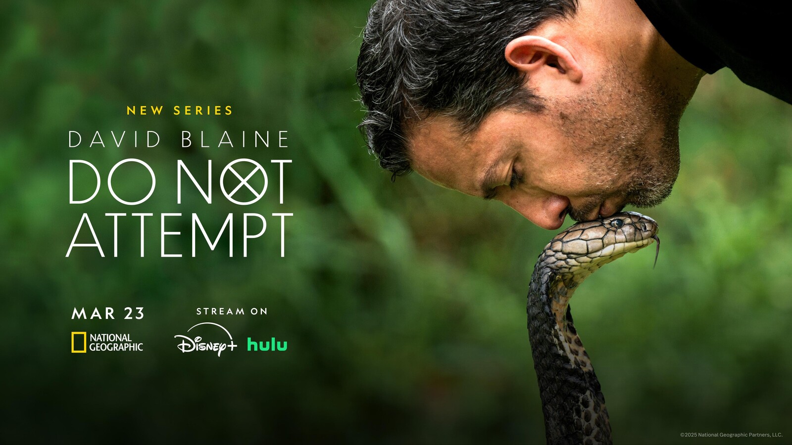 David Blaine - Do Not Attempt (Mp4 Video Magic Download)