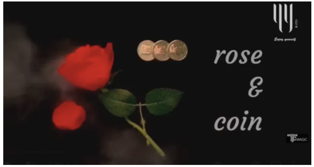 Rose and Coin by Shawn Lee (Video Download)