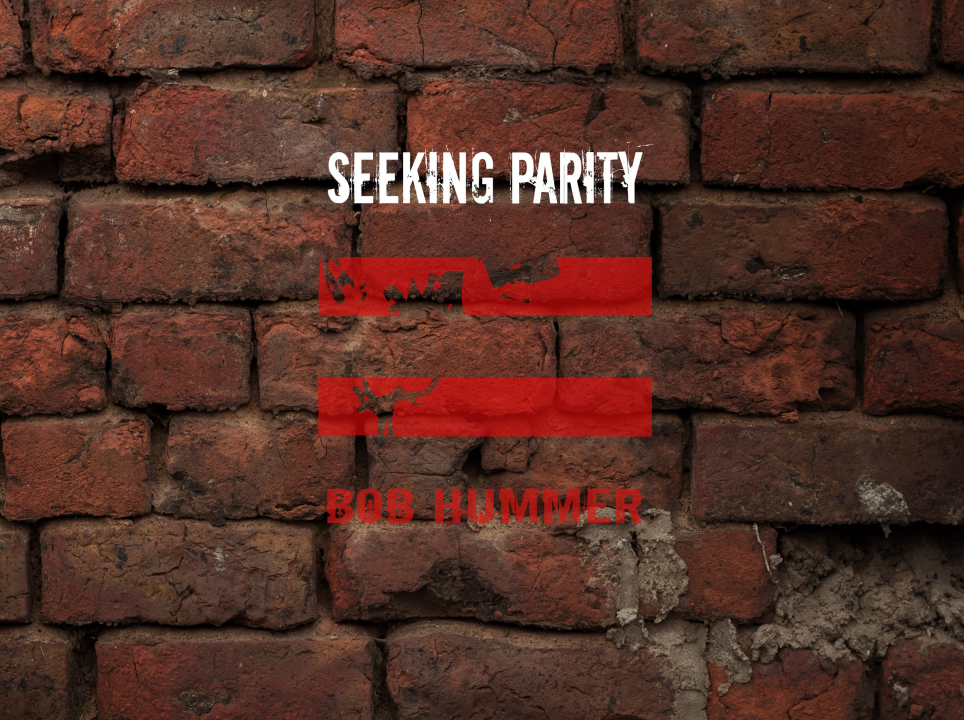 Seeking Parity by Bob Hummer (PDF eBook Download)