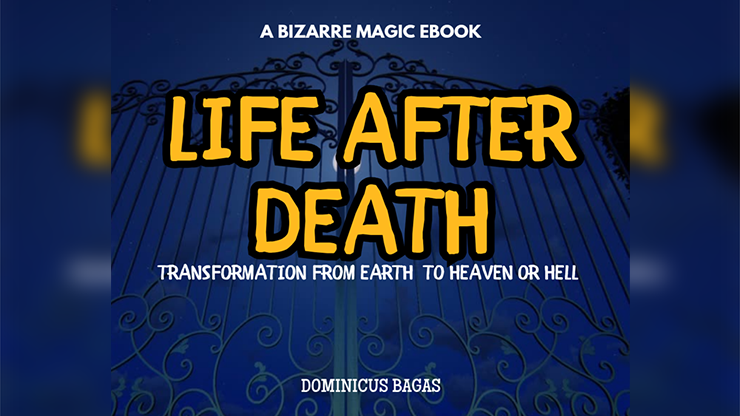 Life After Death by Dominicus Bagas (PDF eBook Magic Download)