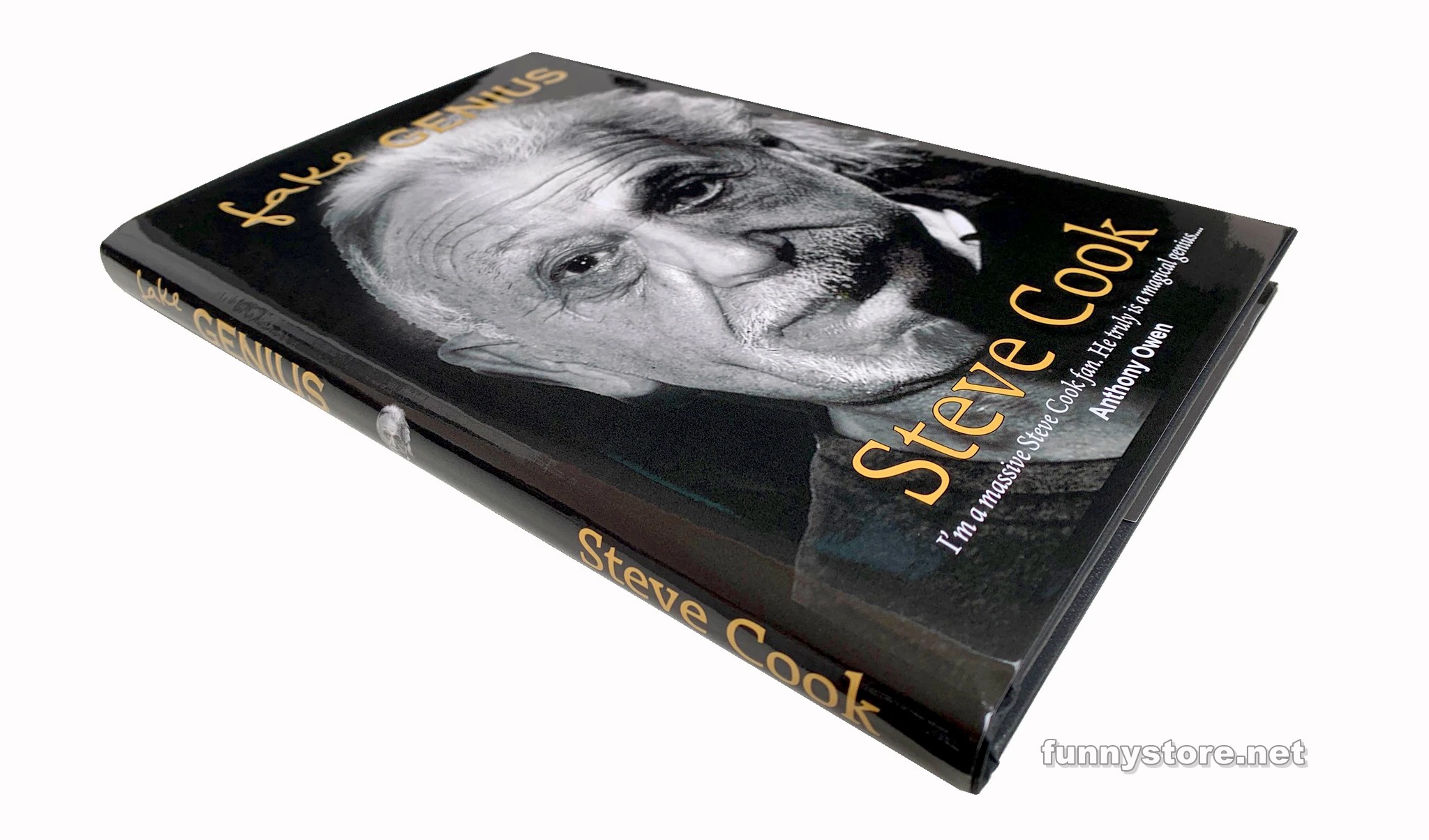 Steve Cook - Fake Genius (PDF)