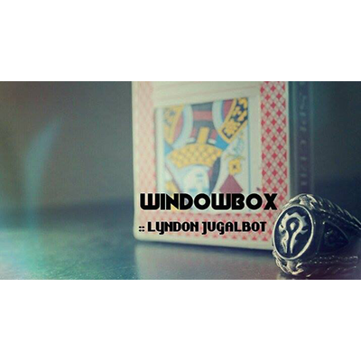 Lyndon Jugalbot - Windowbox