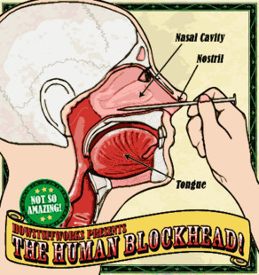 Human Blockhead - Nail in Nose