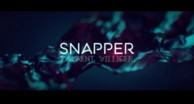 SNAPPER Laurent Villiger (Instant Download)