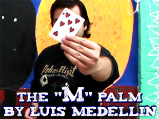 Luis Medellin - The M Palm