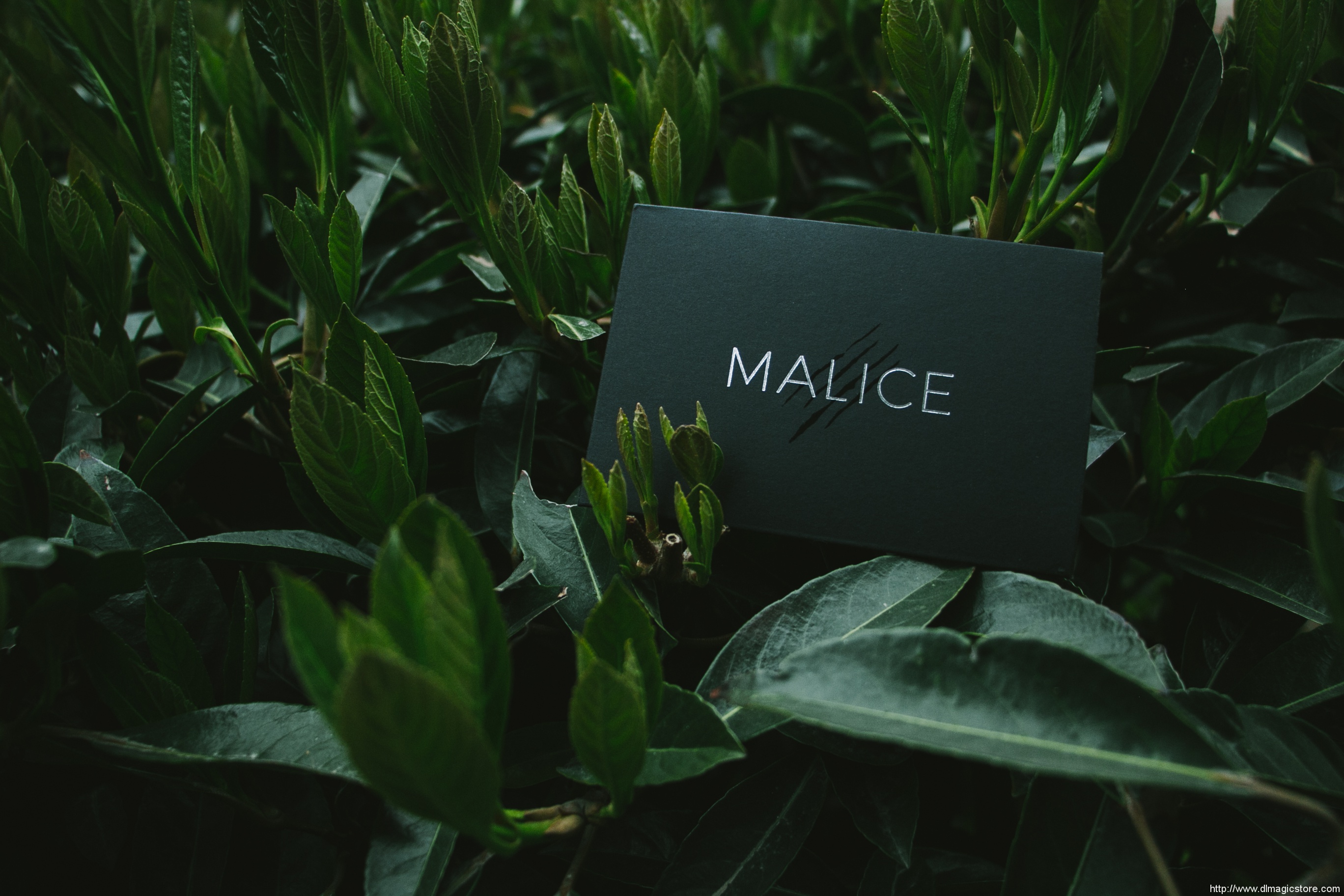 Malice by Eric Jones and Lost Art Magic