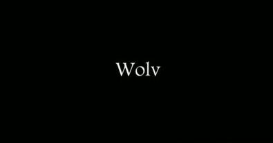 Hugo Luccioni - Wolv