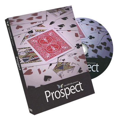 SansMinds - Prospect