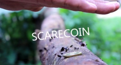 Arnel Creations - SCARECOIN