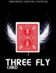 Three Fly Card by Mickael Chatelain