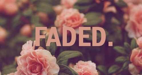 NubzMagic - FADED v1